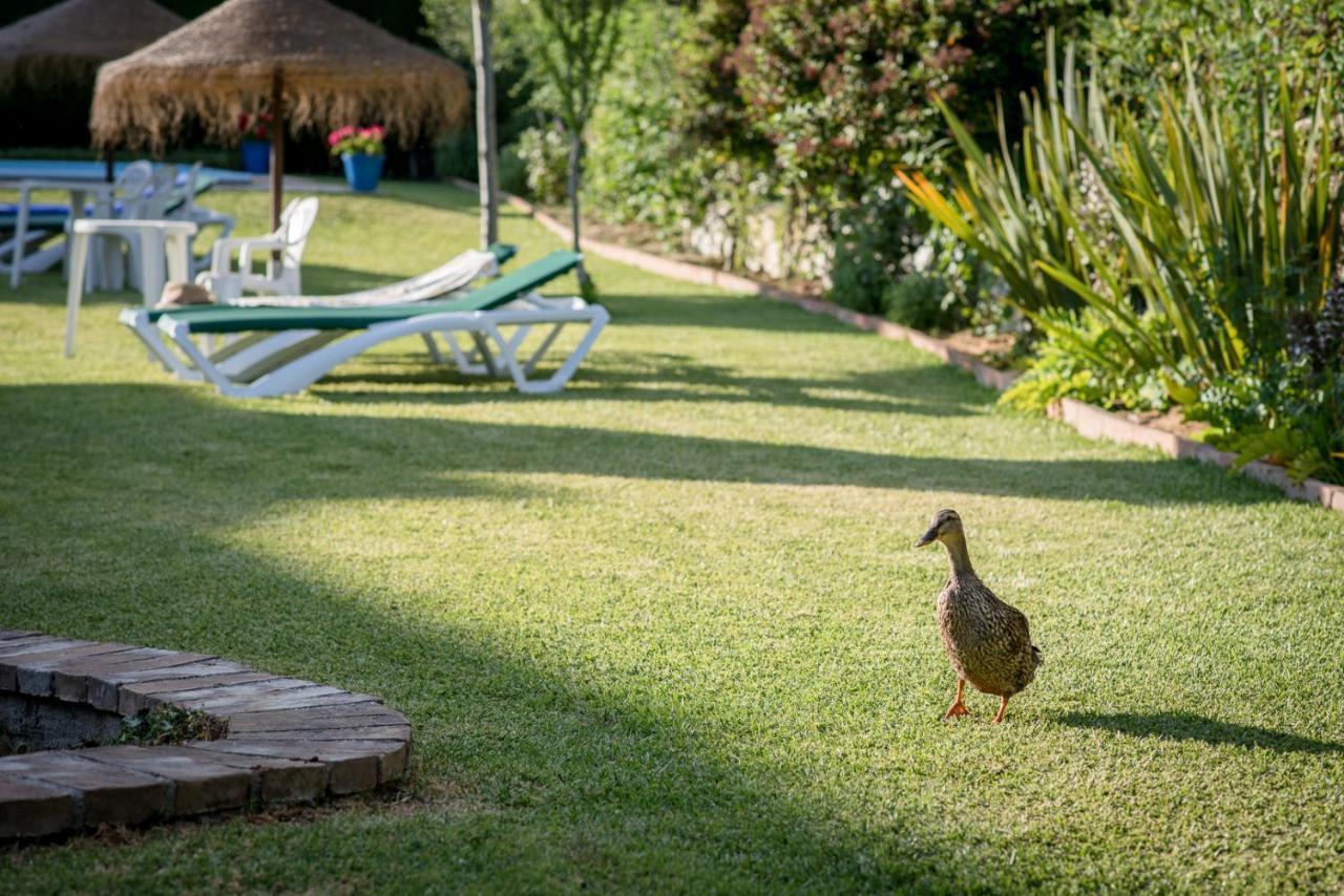Al Agia - Los Molinos De Padul Dış mekan fotoğraf