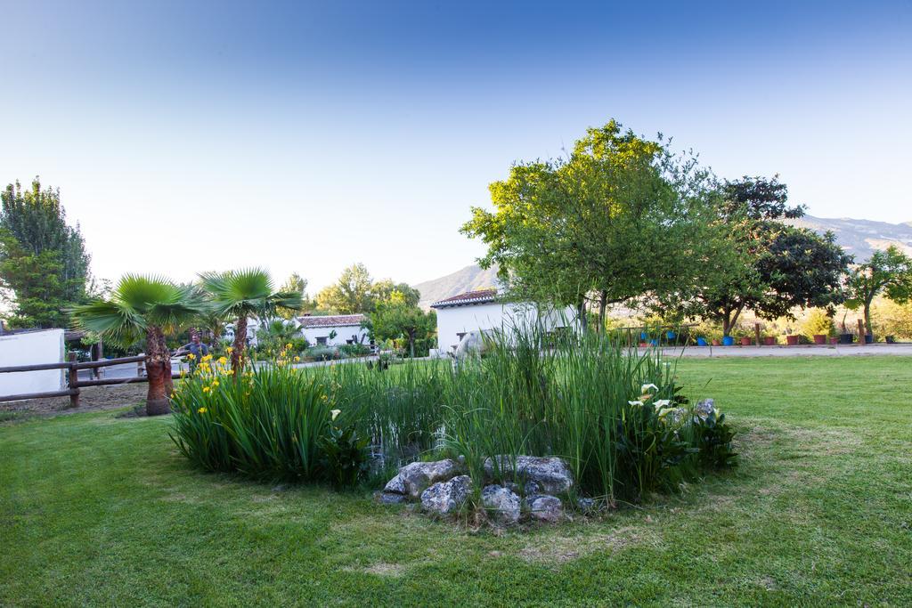 Al Agia - Los Molinos De Padul Dış mekan fotoğraf